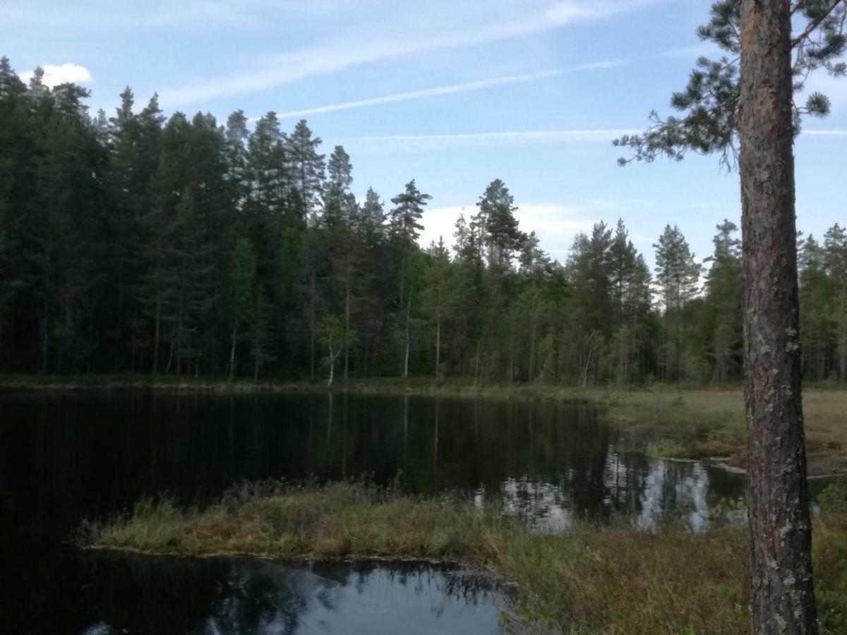 Presterudveien 125 Vikersund Eksteriør billede