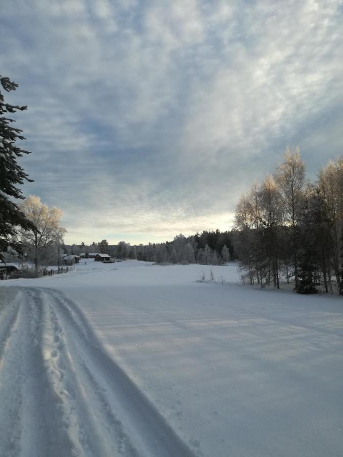 Presterudveien 125 Vikersund Eksteriør billede