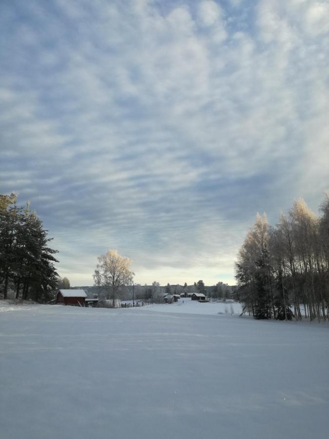 Presterudveien 125 Vikersund Eksteriør billede